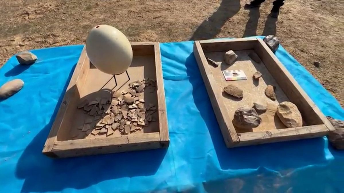 V izraelské poušti našli pštrosí vejce stará 4000 až 7500 let